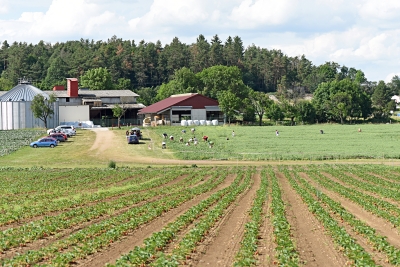 farma Radomyšl